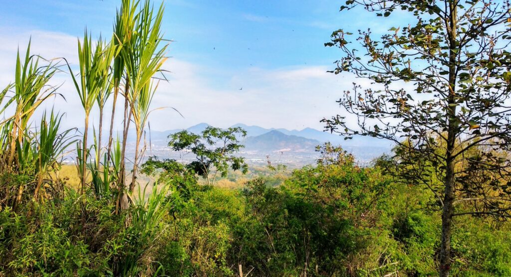 Pemandangan dari Pemakaman Mandalasari